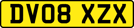 DV08XZX
