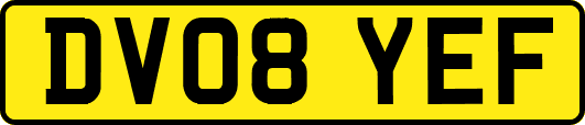 DV08YEF