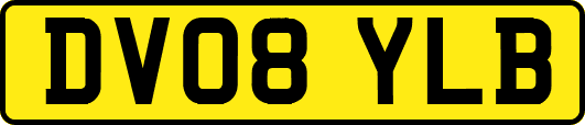DV08YLB