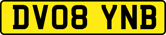 DV08YNB