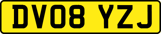 DV08YZJ
