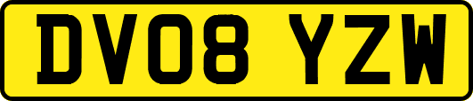 DV08YZW