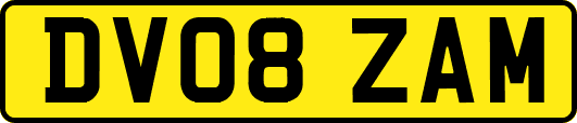DV08ZAM