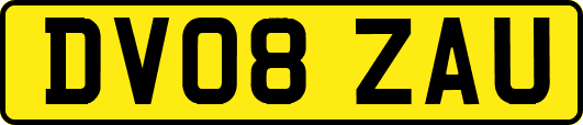 DV08ZAU