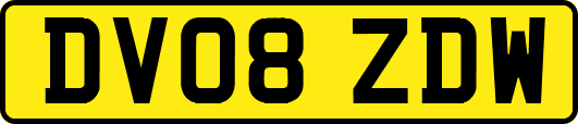 DV08ZDW