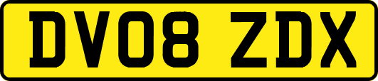 DV08ZDX