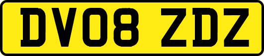 DV08ZDZ