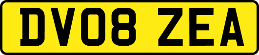 DV08ZEA