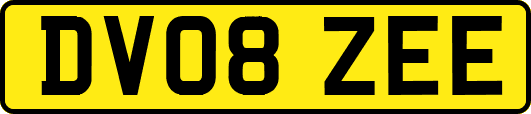 DV08ZEE
