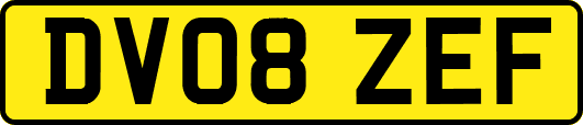 DV08ZEF
