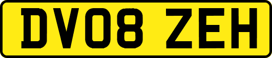 DV08ZEH