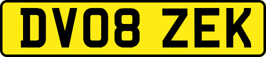 DV08ZEK