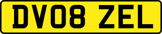 DV08ZEL