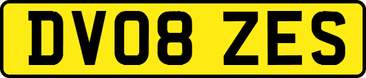 DV08ZES