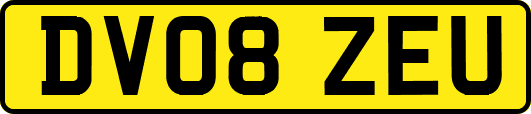 DV08ZEU