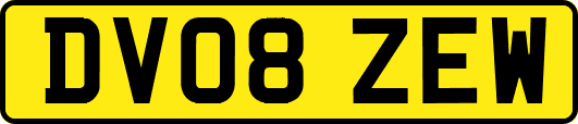 DV08ZEW