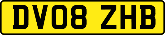 DV08ZHB
