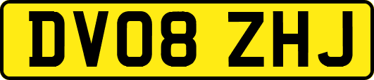 DV08ZHJ