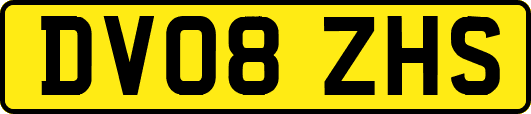 DV08ZHS
