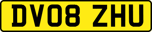 DV08ZHU