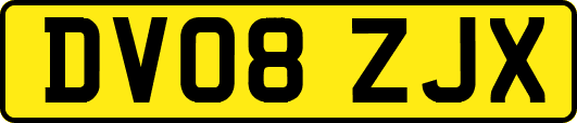 DV08ZJX