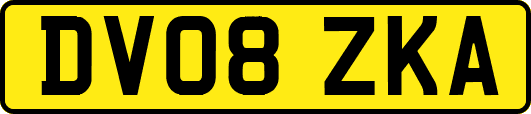 DV08ZKA