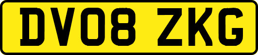 DV08ZKG
