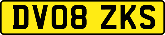 DV08ZKS