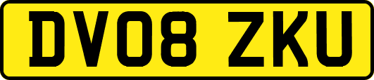 DV08ZKU