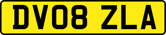 DV08ZLA