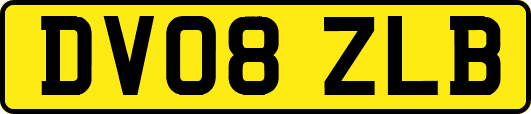 DV08ZLB