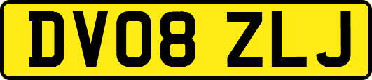 DV08ZLJ