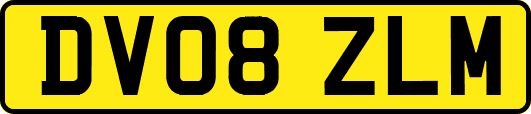 DV08ZLM