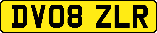 DV08ZLR