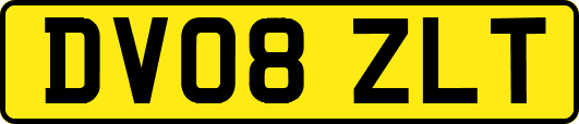 DV08ZLT