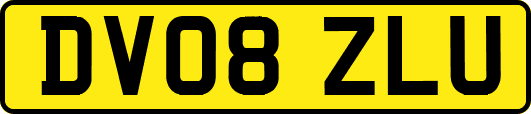 DV08ZLU