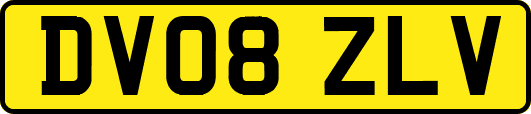 DV08ZLV