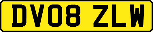 DV08ZLW