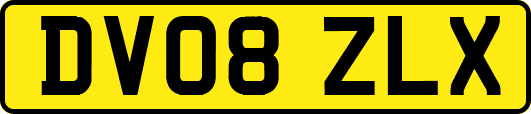 DV08ZLX
