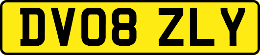 DV08ZLY