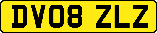 DV08ZLZ