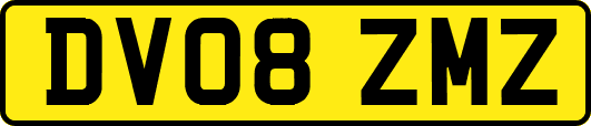DV08ZMZ