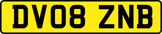 DV08ZNB