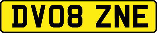 DV08ZNE