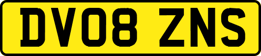 DV08ZNS