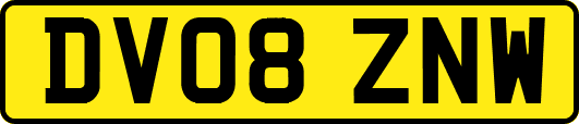 DV08ZNW