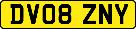 DV08ZNY