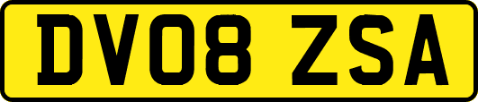 DV08ZSA