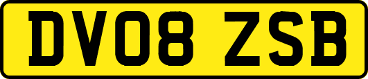 DV08ZSB