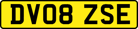 DV08ZSE